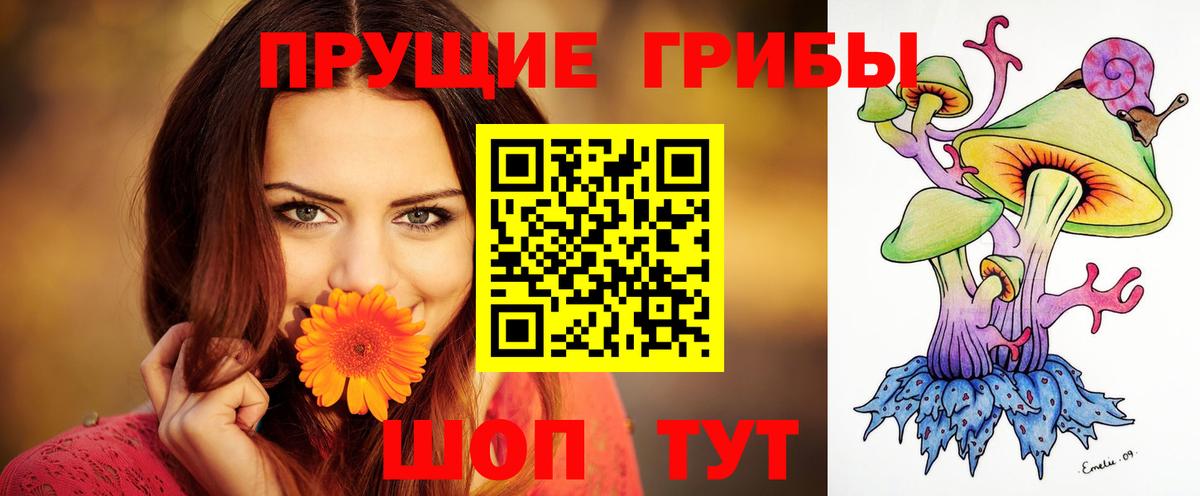 Псилоцибиновые грибы Psilocybe  Вход с VPN  Псилоцибиновые грибы Psilocybine cubensis  Саранск 